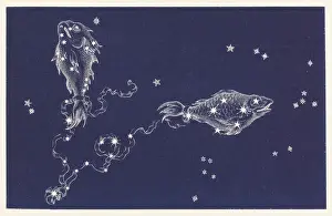 Sternkarten Drucke: Pisces