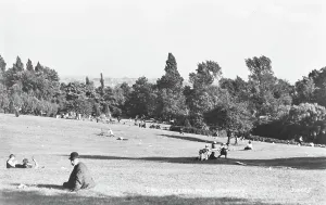 Drucke von Dieses Schwarz-Weiß-Foto zeigt eine lebendige Szene im Waterlow Park, Highgate London Drucke: Ein Tag im Waterlow Park.