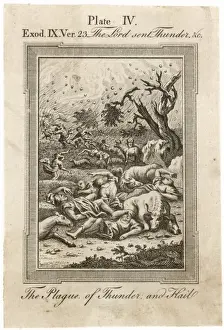 Die Pest des Hagels