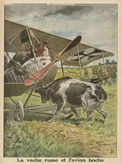 Russian Countryside Landscape Drucke: Plane Meets Cow
