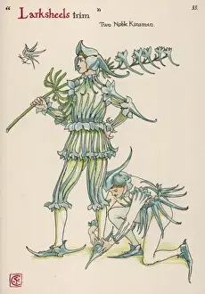 Historical Plant Illustrations Drucke: Plants / Consolida Sp