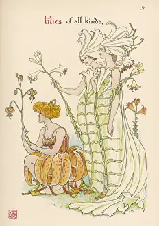 Symbolic Flower Meanings Drucke: Plants / Lilium Sp