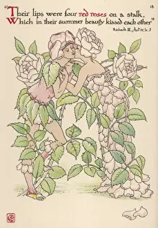 Pflanzen / Rosen