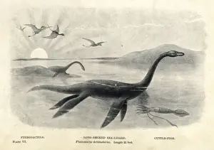 Plesiosaurier Dolichodeirus mit Cuttent und Pterodakten