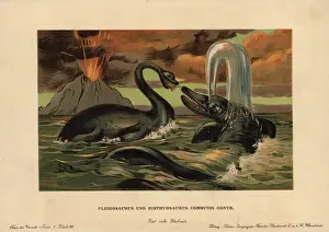 Plesiosaurier, ausgestorbenes aquatisches Raubtier.