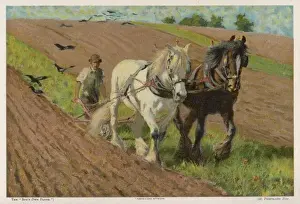 Ploughing With Horses Drucke: Ploughing in 1903