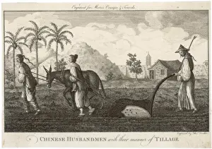 Traditional Farming Methods Drucke: Ploughing, China