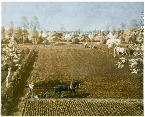 Ploughing With Horses Drucke: Ploughing in Germany