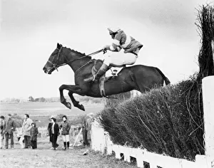 Point To Point Racing Drucke: Point to Point
