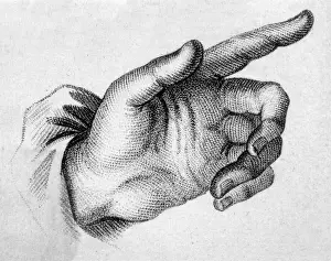 Medical Anatomy Illustration Drucke: Pointing Hand Engraving