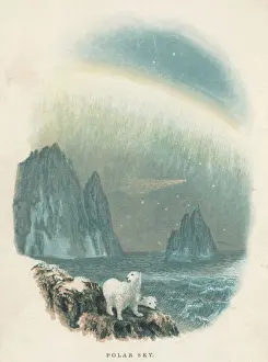 Drucke von Polar Himmel mit luftgestauten Phänomenen über einem arktischen Meer, Polarkötern und Eisschollen Eisbär Drucke: Kalt Himmel mit Bären