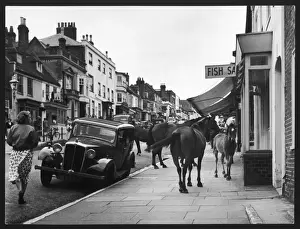 Drucke von Neue-Forest-Ponys einkaufen (viel zu einer Frauens Erstaunen) in Lymington in Hampshire, England Neuer Wald Drucke: PONIES SHOPPING