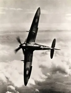 Spitfire Drucke: Spitfire XIV scharfgeschnitten