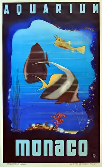 Drucke von Plakett, Monachos-Aquarium Datum: Jahrhundert zwanzigster Monaco Drucke: Plakat, Aquarium von Monaco