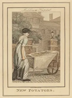 Middlesex Hospital History Drucke: Potato Trader