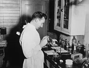 Laboratory Technician Drucke: Preparing Lab Slide 50S