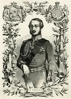 Fürst Albrecht