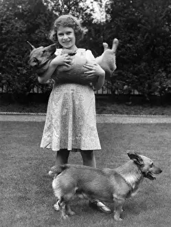 Lizenzgebühren Drucke: Königin Elisabeth und Dachshundhunde