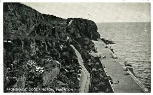 England Coastal Towns Drucke: The Promenade, Goodrington, Devon