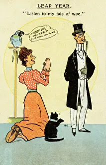 Katze Valentine Drucke Drucke: Vorschlag zu einem Schaltjahr.