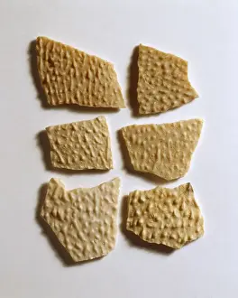 Protokeratopsschalen