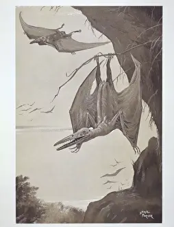 Cretaceous Period Animals Drucke: Pterodactyl