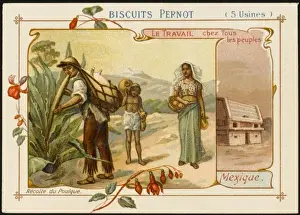Pulque aus Mexiko