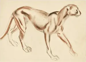 Raymond Sheppard Art Drucke: A Puma - pastel study