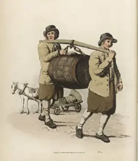 Pyne-Brauer