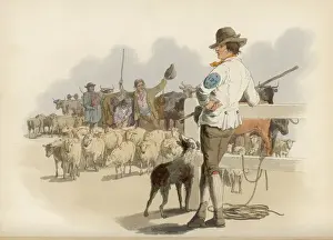 Mary Evans Prints Online Collection Drucke: Pyne - Drover