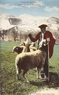 Pyrenees Mountain Landscape Drucke: Pyrenean Shepherd and his flock