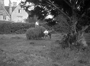 Farming In The 1930s Drucke: Quedgeley Haymaking