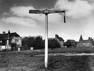 Der Quincunat