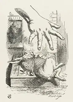 Lewis Carroll Original Artwork Drucke: Rabbit in Cucumber Frame