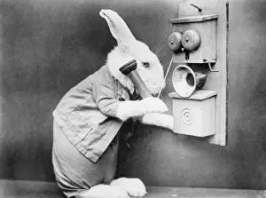 Retro Telephone Design Drucke: Rabbiting on the Phone