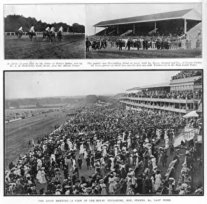 Rennen am Ascot