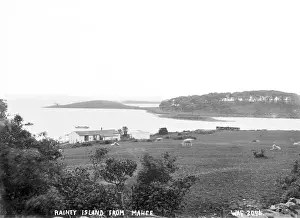 Early 1900s Irish Landscapes Drucke: Rainey Island from Mahee