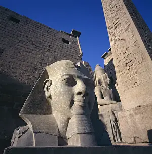 Rameses II Statue Drucke: Rameses II Statue