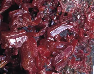 Natural History Museum Specimens Drucke: Realgar