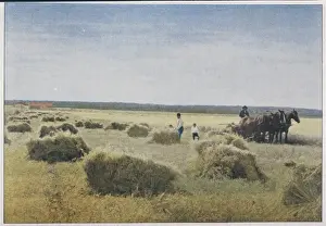 Historical Farm Equipment Drucke: Reaping, Canada