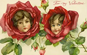 Rote Rosenblume zeigt sich vorne