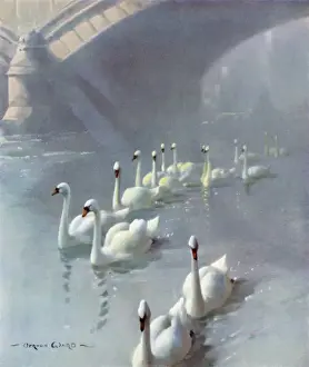 Prozession auf dem Regal von Vernon Ward