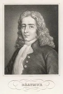 Rare Historical Prints For Sale Drucke: Rene Reaumur / Metzeroth