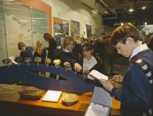 Natural History Museum Exhibits Drucke: Restless Surface