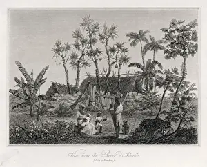 Native American Dwellings Drucke: Reunion / Native Home