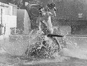 Reiten eines Delfins