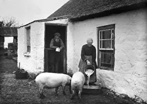 Early 1900s Photographs Drucke: The Rint Payers