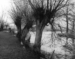 English River Landscapes Drucke: River Confluence