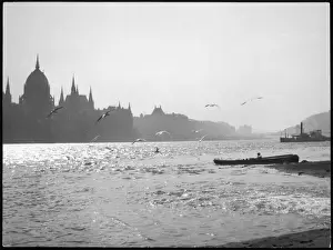 Danube River Views Drucke: The River Danube