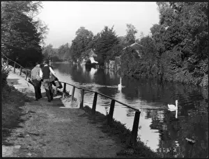 Hertfordshire Countryside Drucke: The River Lea